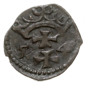 denar 1554, Gdańsk, T. 8, rzadki, ciemna patyna