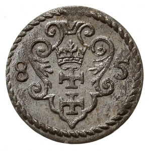 denar 1585, Gdańsk, T. 2, piękny