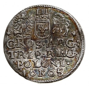 trojak 1605, Kraków, Iger K.05.1.a (R1), patyna
