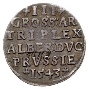 trojak 1543, Królewiec, odmiana napisu PRVSS, Iger Pr.4...