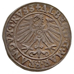 grosz 1550, Królewiec, Bahr. 1207, Neumann 47, rzadszy ...