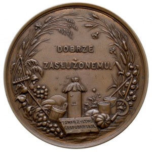Towarzystwo Gospodarskie -medal bez daty autorstwa C. R...