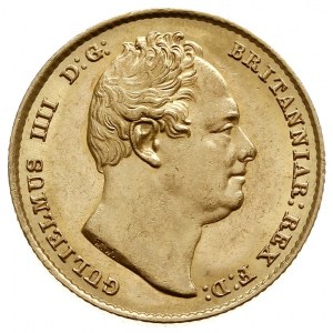 William IV 1830-1837, 1 suweren (funt) 1832, Londyn, zł...