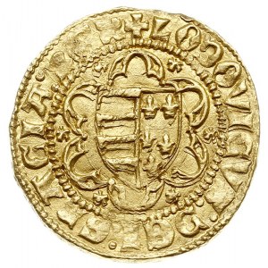 Goldgulden z lat 1353-1357, Aw: Tarcza herbowa Węgier i...