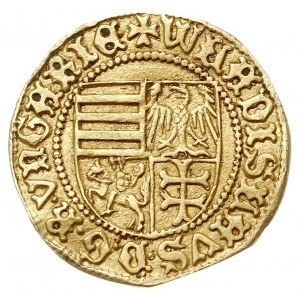 Goldgulden 1441, Hermannstadt (węg. Nagyszeben) 1441, A...