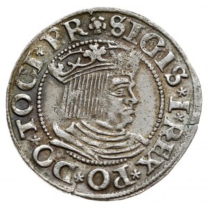 grosz 1534, Gdańsk, drobne mennicze wady krążka, patyna