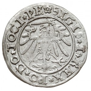 grosz 1534, Elbląg, na awersie odmiana napisu TOCI PR