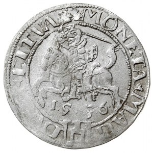 grosz 1536, Wilno, odmiana z literą F pod Pogonią, Ivan...