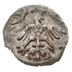 denar 1556, Wilno, Ivanauskas 2SA15-6, T. 5, patyna