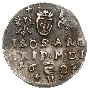 trojak 1603, Wilno, litera V poniżej herbu Łabędź, Iger...
