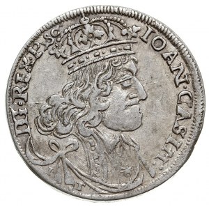 ort 1656, Kraków, duża głowa króla