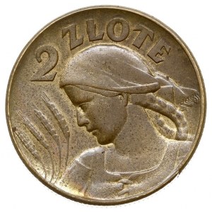 2 złote 1924, Warszawa, Kobieta z kłosami, bez znaku me...