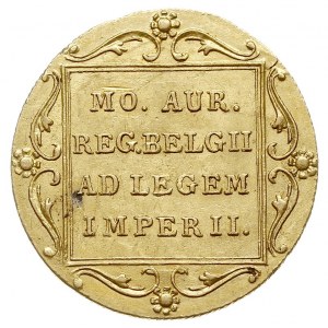 dukat 1849, złoto 3.48 g, Fr. 161, Bitkin 35