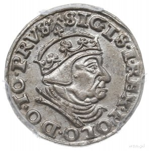 trojak 1540, Gdańsk, Iger G.40.1.e (R1), moneta w pudeł...