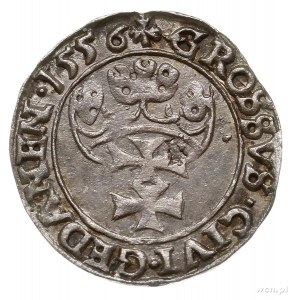 grosz 1556, Gdańsk, odmiana z małą głową króla i końców...