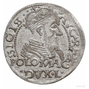 grosz na stopę polską, 1566, Tykocin, Ivanauskas 5SA16-...