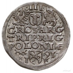 trojak 1591, Poznań, Iger P.91.4.b, patyna