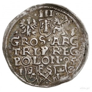 trojak 1595, Bydgoszcz, Iger B.95.5.a/c, patyna