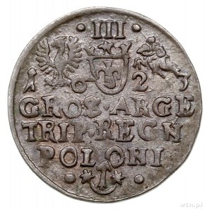 trojak 1623, Kraków, Iger K.23.1.d, patyna