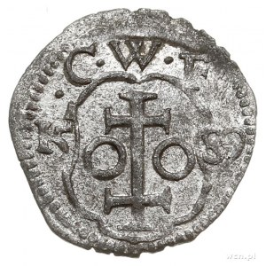 denar 1589, Wschowa, Aw: Tarcza herbowa Wschowy, powyże...