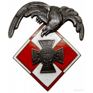 Wojna z Ukrainą 1918-1919, Odznaka Sekcji Lotniczej Obr...