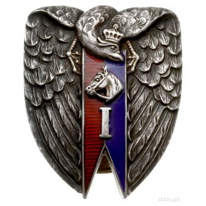 Odznaka Instruktorska Podchorążych Kawalerii - Grudziąd...
