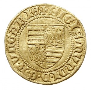 goldgulden (1387-1389), Kassa, Aw: Tarcza herbowa, Rw: ...
