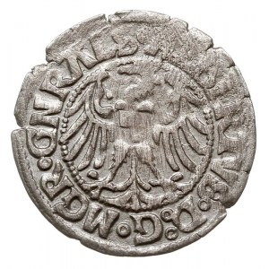 grosz 1515, Królewiec, Neumann 34, Voss. 1164
