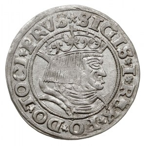 grosz 1531, Toruń, ładny