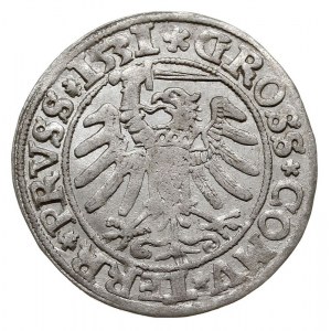 grosz 1531, Toruń, ładny