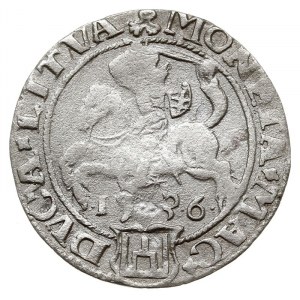 grosz 1536, Wilno, odmiana bez litery pod Pogonią, awer...