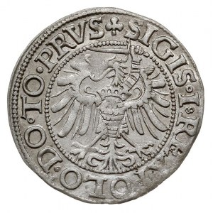 grosz 1539, Elbląg, na awersie odmiana napisu PRVS, pię...