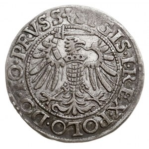 grosz 1539, Elbląg, na awersie odmiana napisu PRVSS, de...