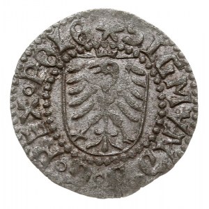 szeląg 1524, Gdańsk, T.5, bardzo ładny i rzadki, patyna