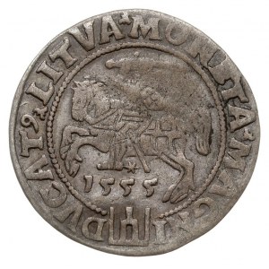 grosz na stopę litewską, 1555, Wilno, Ivanauskas 6SA22-...