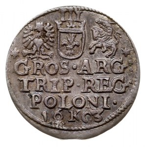 trojak 1603, Kraków, Iger K.03.1.a (R1), patyna