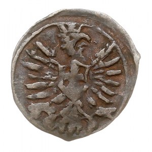 denar 1604, Poznań, T. 35, bardzo rzadki, patyna