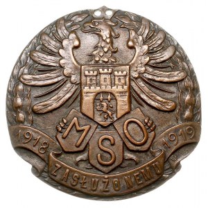 Lwów, Odznaka Miejskiej Straży Obywatelskiej, 1919, Zas...