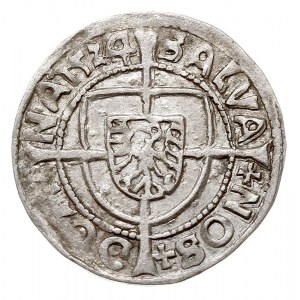 grosz 1524, Królewiec, Voss. 1287, Neumann 40