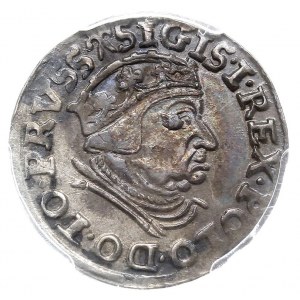 trojak 1539, Gdańsk, Iger G.39.1.m (R1), moneta w pudeł...
