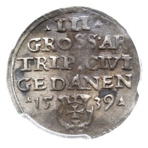 trojak 1539, Gdańsk, Iger G.39.1.m (R1), moneta w pudeł...