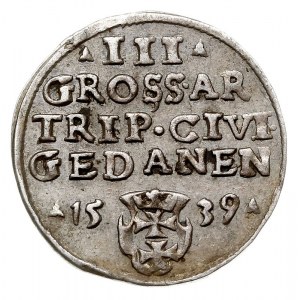 trojak 1539, Gdańsk, Iger G.39.1.e (R1), patyna