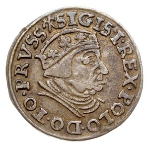 trojak 1539, Gdańsk, Iger G.39.1.m (R1), patyna