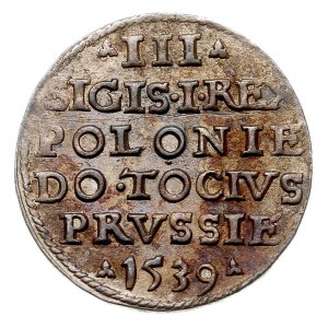 trojak 1539, Elbląg, Iger E.39.1.d (R2), bardzo ładny, ...