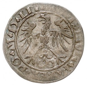 grosz 1536, Wilno, odmiana z literą F pod Pogonią, Ivan...