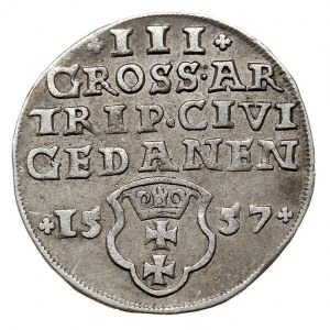 trojak 1557, Gdańsk, popiersie króla w obwódce, Iger G....