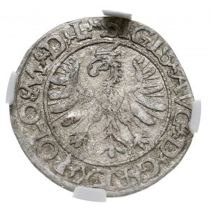 pólgrosz 1566, Tykocin, pod Pogonią herb Jastrzębiec wo...