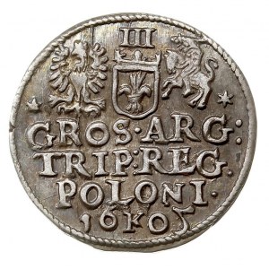 trojak 1605, Kraków, Iger K.05.b (R1), patyna