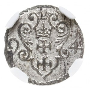 denar 1594, Gdańsk, moneta w pudełku firmy NGC z oceną ...