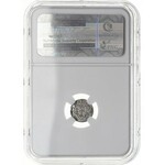 denar 1594, Gdańsk, moneta w pudełku firmy NGC z oceną ...